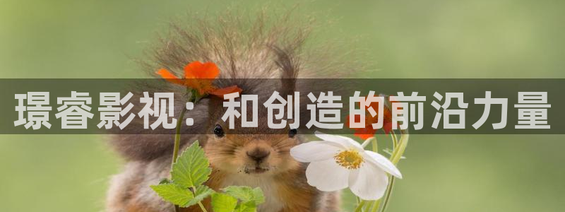 桃花影院理论片在线