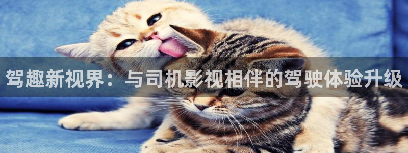 桃花影院三千片免费观看：驾趣新视界：与司机影视相伴的驾驶体验升级
