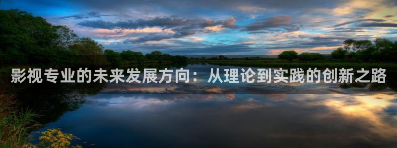 桃花影院99：影视专业的未来发展方向：从理论到实践的创新之路